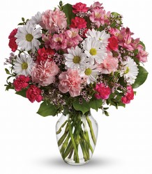 Teleflora's Sweet Tenderness from Swindler and Sons Florists in Wilmington, OH